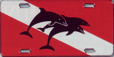 Metal License Plates
