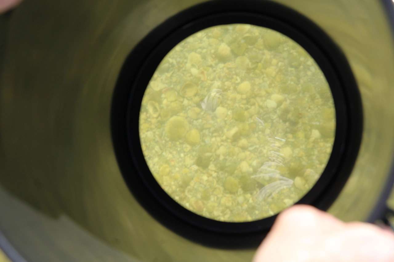 Underwater Viewing Bucket