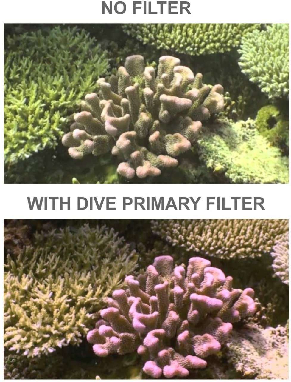 Tovatec Optical Cam Filter System