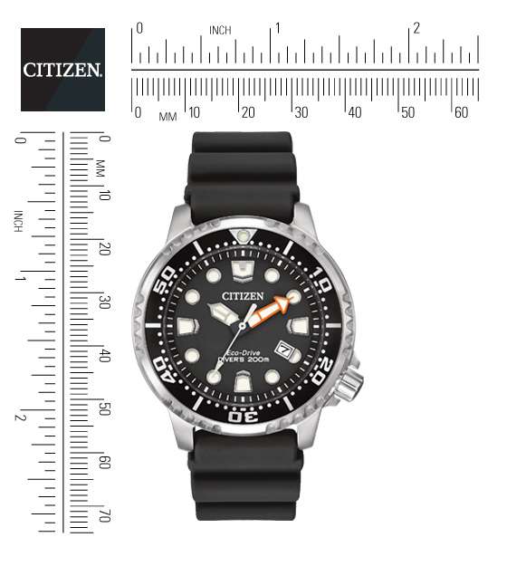 Citizen Promaster Diver Eco-Drive Wristwatch