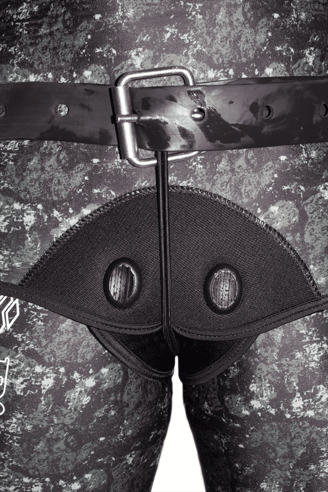 Picasso Belt Immobilizer