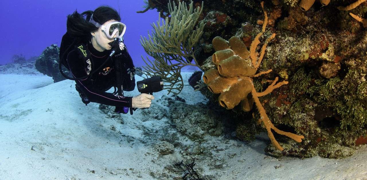 Underwater Kinetics C4 L2 eLED Light