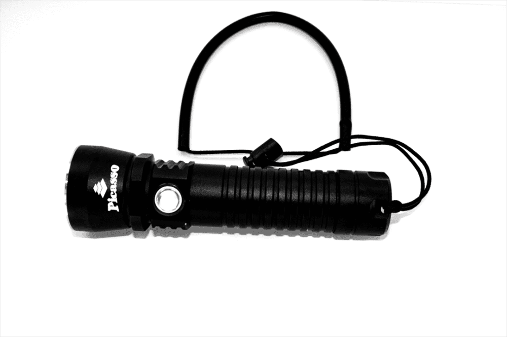 Picasso Cosmos LED Light