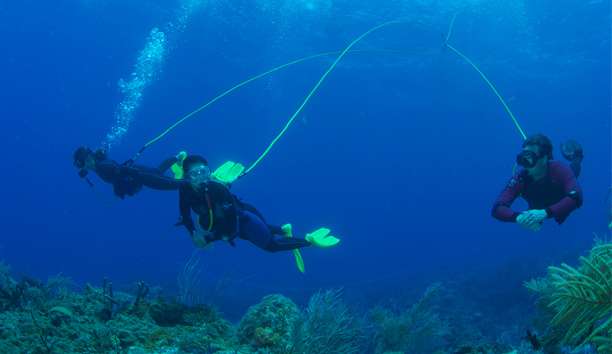 Brownie's F285BE Floating Diving System