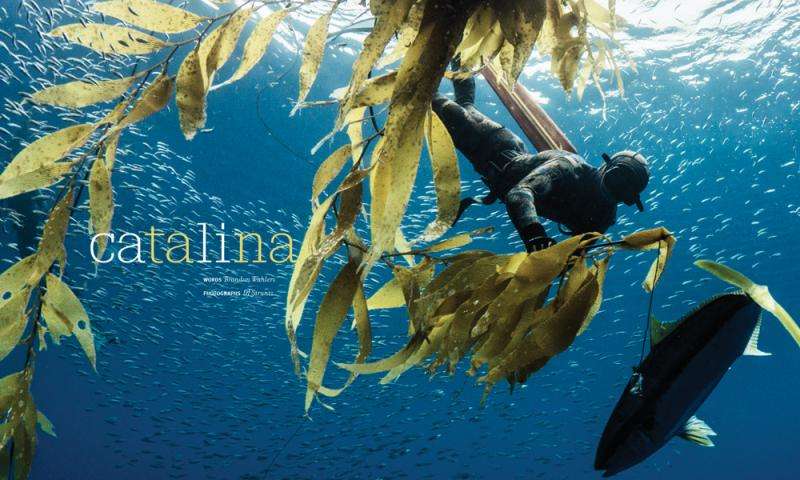 Hawaii Skin Diver Issue 64