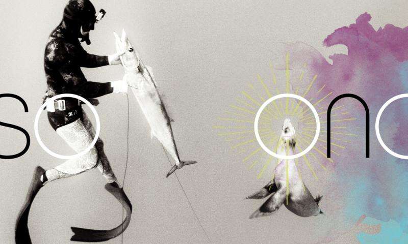 Hawaii Skin Diver Issue 64