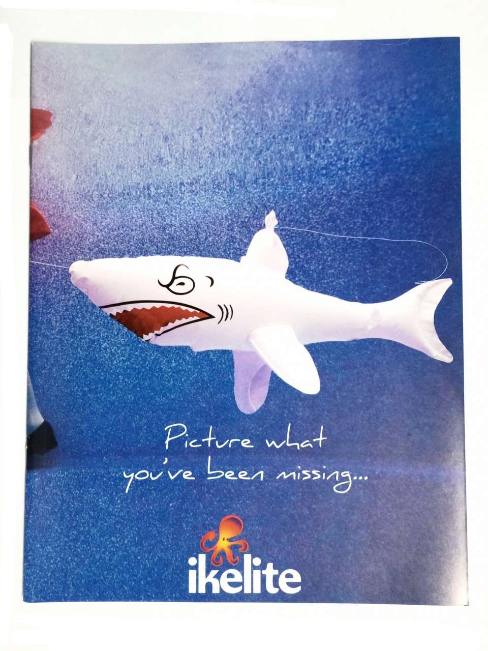 Ikelite Product Catalog