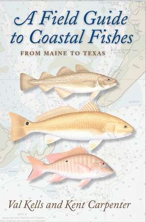 A Field Guide to Coastal Fishes: From Maine to Texas