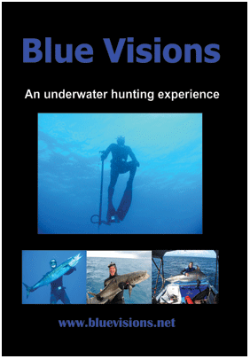 Blue Visions DVD