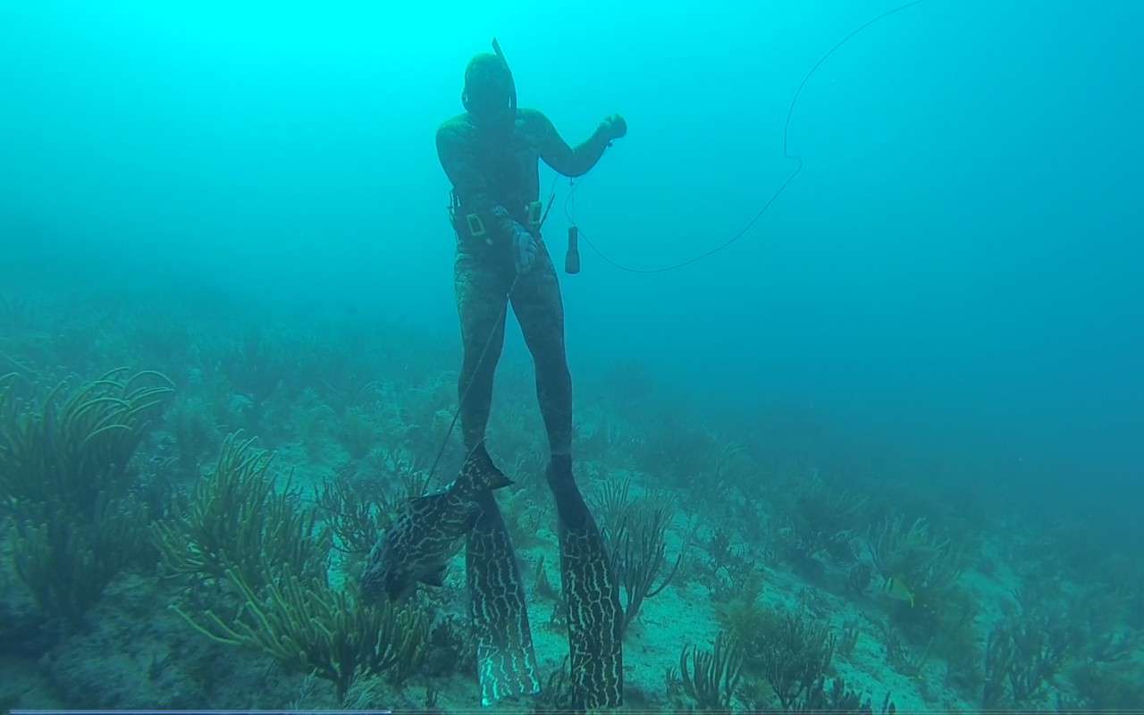 Deep Apnea S-Glass Black Grouper Fins