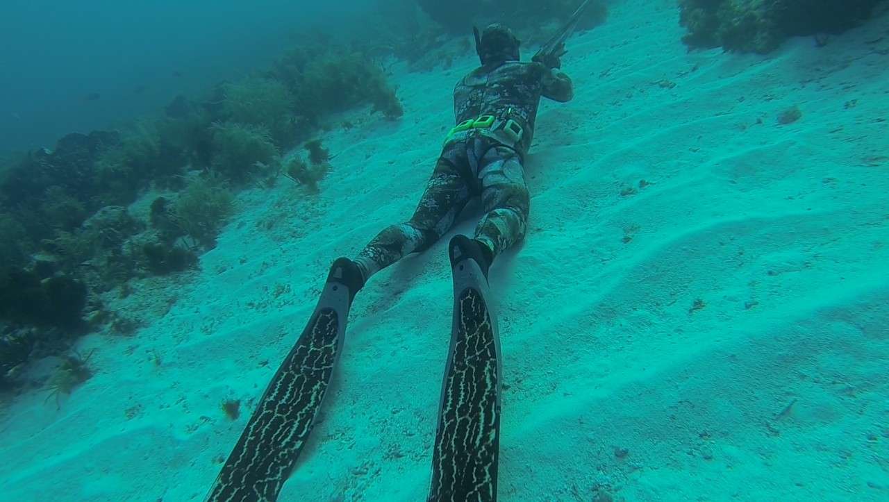 Deep Apnea S-Glass Black Grouper Fins
