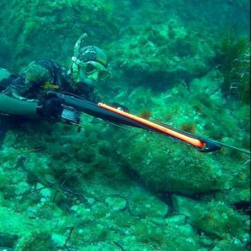 C4 Gladius Speargun