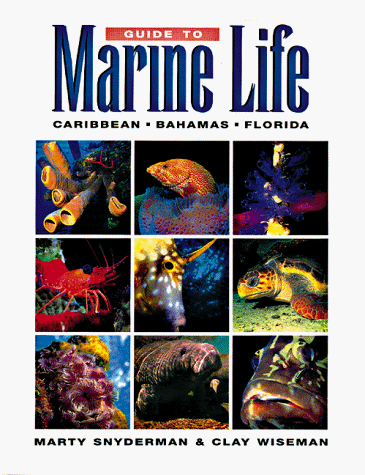 Guide to Marine Life Caribbean-Bahamas-Florida