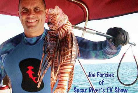 HammerHead Lion Fish Buster Polespear