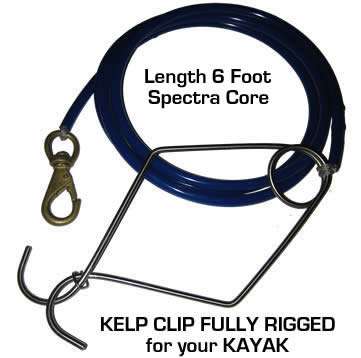 Neptonics Kelp Clip