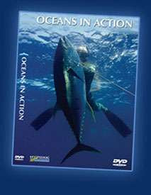 Oceans in Action DVD - FREE