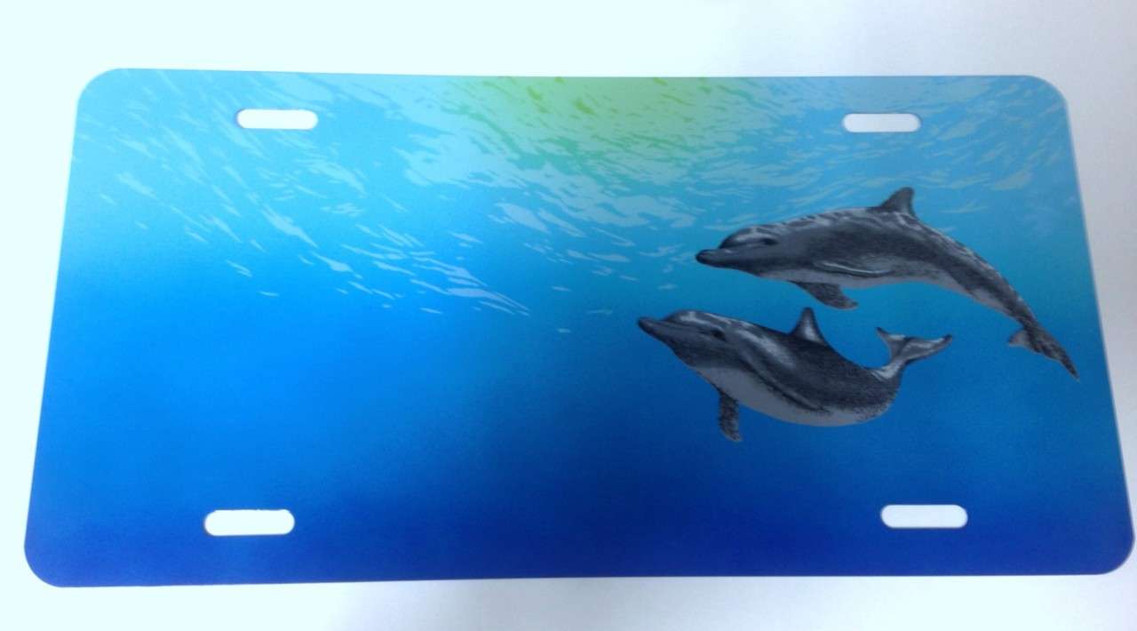 Metal Dolphin License Plate