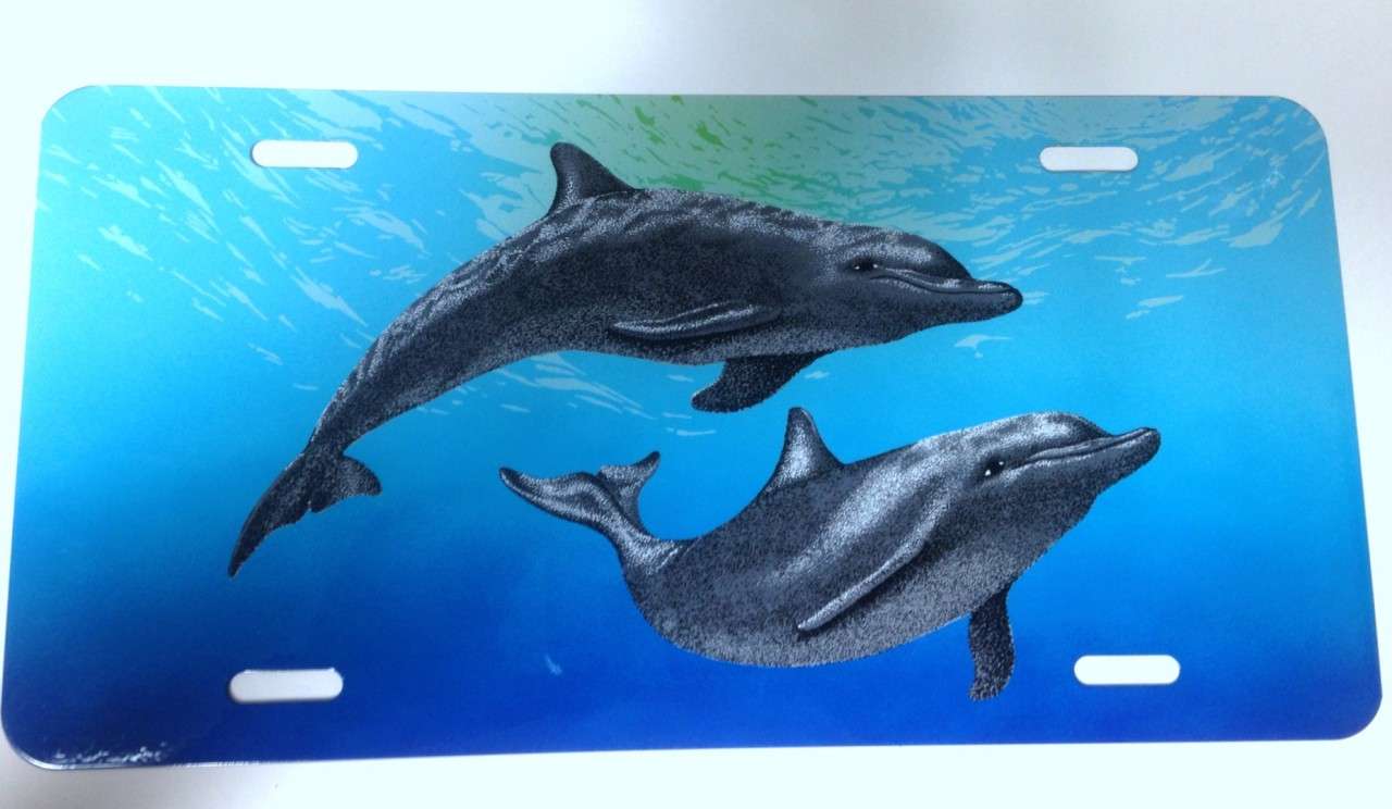 Metal Dolphin License Plate