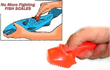 Bicco Fish Scaler