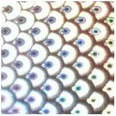 WTP Sticker Fish Flasher Sheets