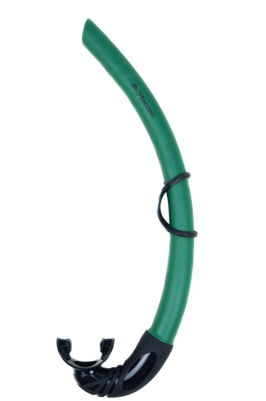 Picasso Storm Green Snorkel