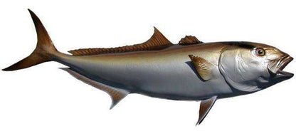 Amberjack Fish Mount