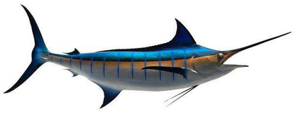 Blue Marlin Fish Mount