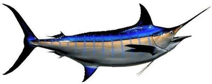 Blue Marlin Fish Mount