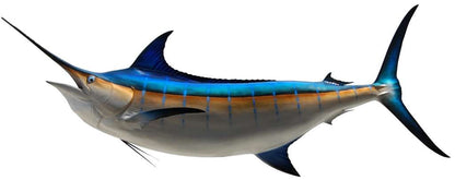 Blue Marlin Fish Mount