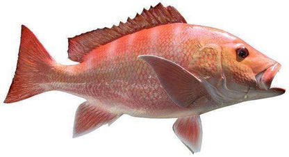 Red Snapper Fish Mount