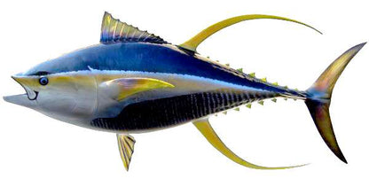 Yellowfin Tuna Fish Mount