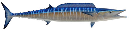 Wahoo Fish Mount