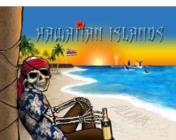 Flappin' Flag Hawaiian Flag