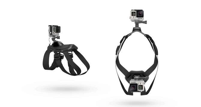 GoPro Fetch Dog Harness