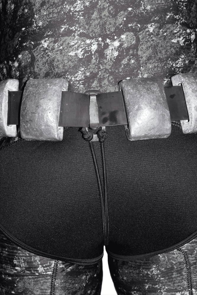 Picasso Belt Immobilizer