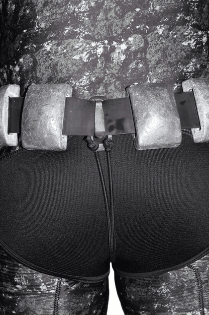 Picasso Belt Immobilizer