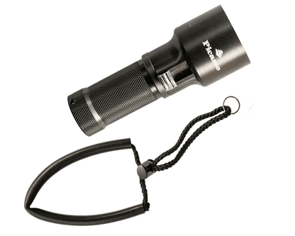 Picasso Venus LED Light