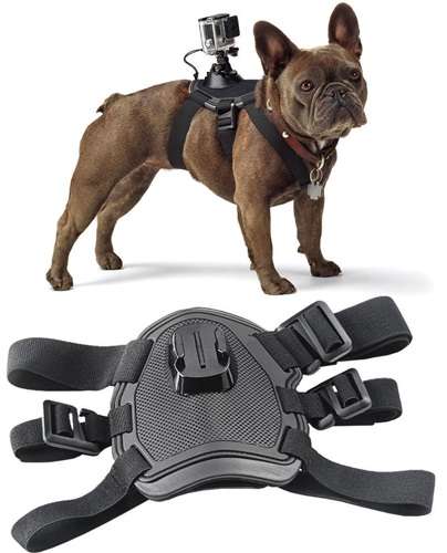 Pro Mounts GoPro Dog Harness