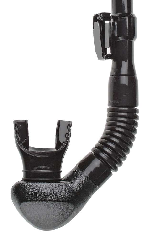 Riffe Stable Snorkel