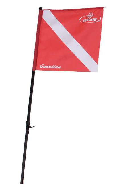 Beuchat Flag and Pole for Guardian Float